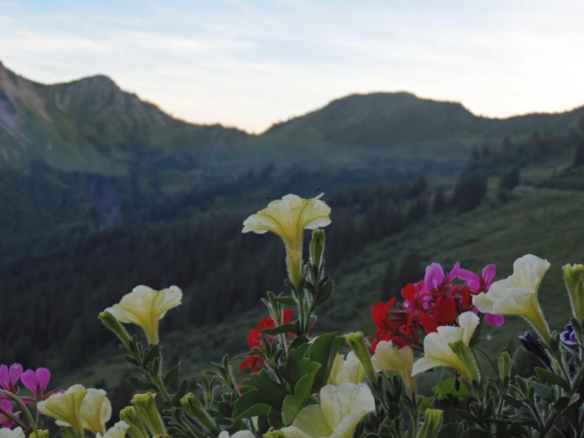 Hotel Jaegerstueble Дамулс Екстериор снимка